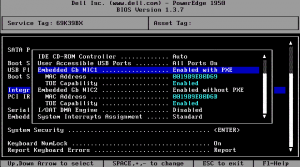 bios_pxe_setting.png